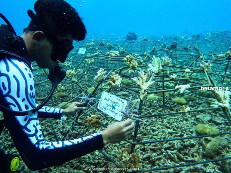Anambas Foundation Terus Berkomitmen Tingkatkan Ekosistem Alam di Daerah Perbatasan