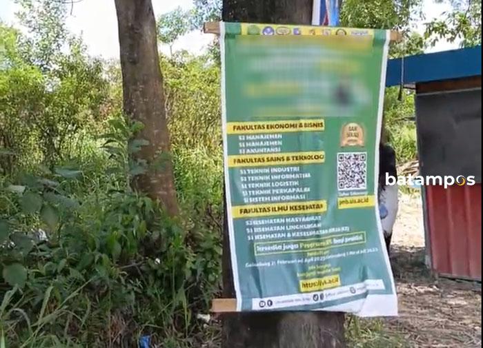 Iklan Liar Marak, Pohon Penghijauan Jadi Korban di Batam