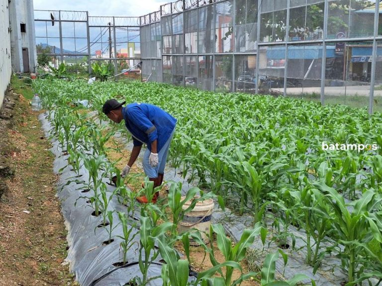 Rutan Kelas IIA Batam Ikut Indonesian Prison Products and Art Festival 2025 di Jakarta