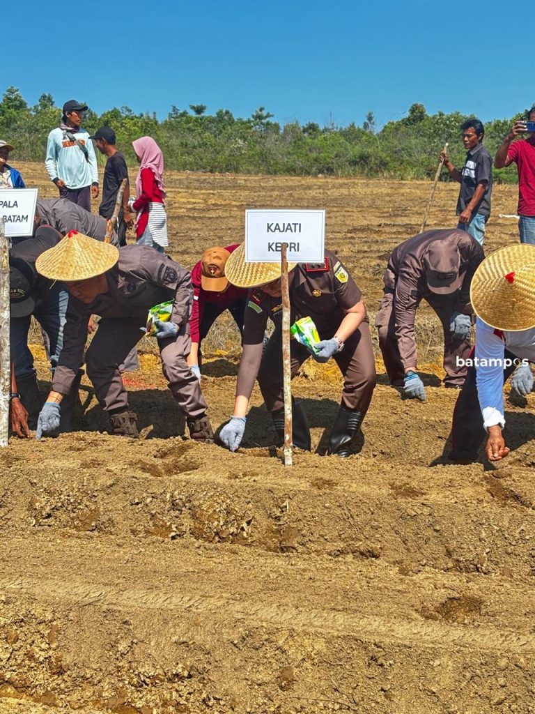 Dukung Ketahanan Pangan Nasional, Kejati Kepri dan Kejari Batam Tanam Jagung di Rempang Cate