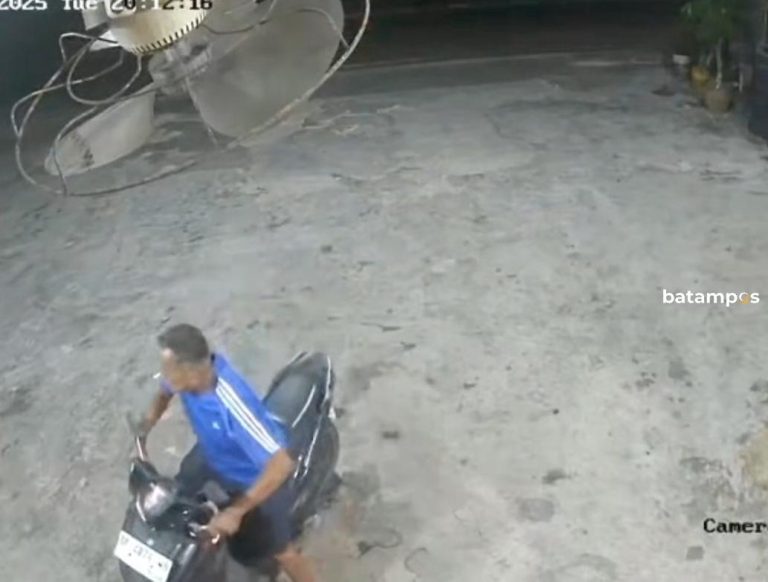Maling di Pinang Terekam Curi Tanaman Hias Milik Warga Jalan Soekarno Hatta