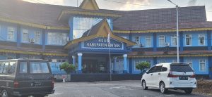Main Ponsel saat Hujan Deras, Warga Bintan Disambar Petir