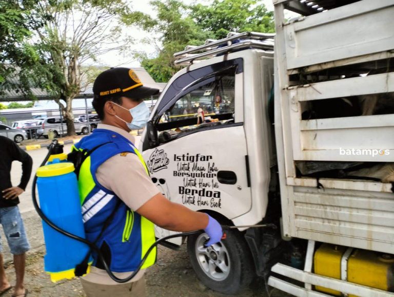 Barantin Kepri Siaga Awasi Lalu Lintas Hewan Kurban Jelang Iduladha