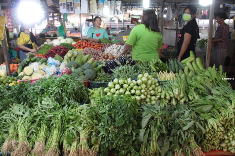 Pemko Batam Genjot Produksi Cabai dan Sayur Lewat Kelompok Wanita Tani, 2.400 Anggota KWT Digerakkan