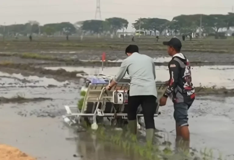 Wapres Gibran Coba Alat Tanam Padi di Ngawi tapi Menanamnya Maju Jadi Viral, Netizen: Yang Ditanam Malah Keinjak