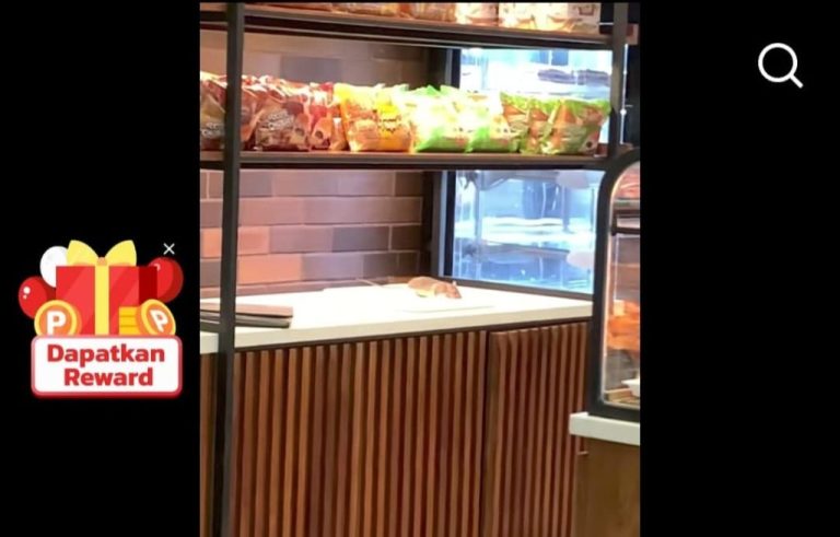 Viral, Tikus Berkeliaran di Morning Bakery Sekupang Disorot Warga