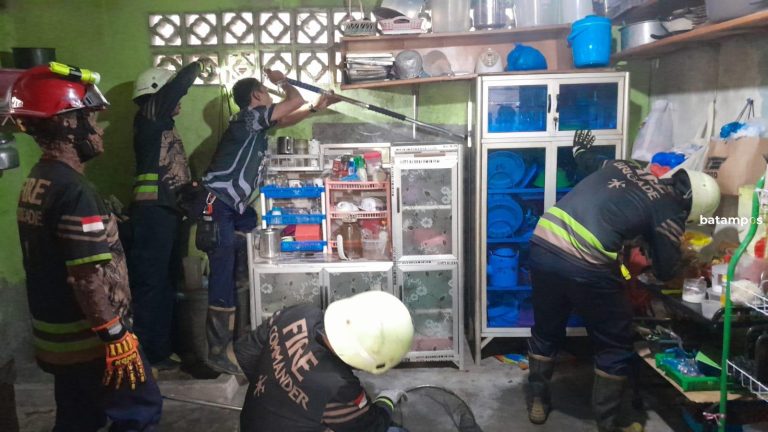 Tiba Tiba Muncul di Depan Rumah Warga Tanjunguban, Dua Biawak pun Diamankan Tim Damkar