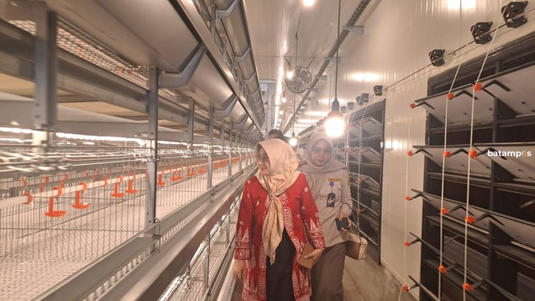Kurangi Ketergantungan Telur Luar Kepri, Japfa Bangun Peternakan Ayam Petelur di Bintan