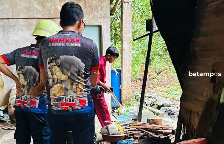 Warga Bintan Tewas Digigit Ular Kobra saat Mengambil Kayu untuk Dipakai Memasak