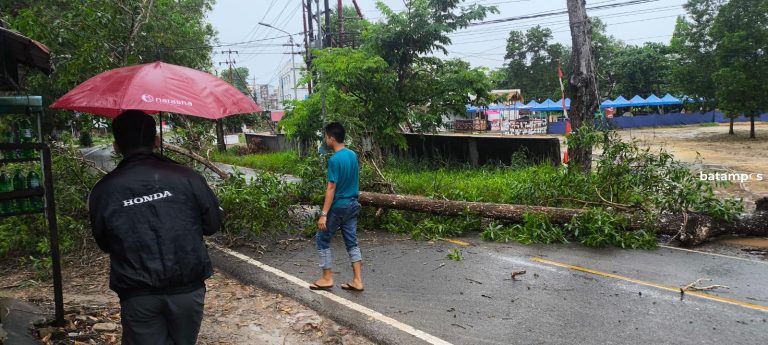 Angin Kencang Tumbangkan Pohon di Jalan Raja Haji Fisabilillah Hingga Tutup Jalan