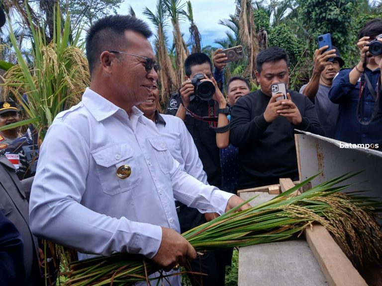 Manfaatkan Sawah Basah, Petani Desa Pesisir Timur Sukses Panen Padi 3,5 Ton
