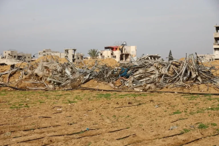 FAO Sebut Krisis Pangan di Gaza Makin Parah, Lebih dari 80 Persen Lahan Pertanian Hancur Total