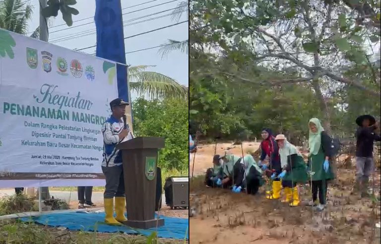 Cegah Abrasi, Camat Nongsa Tanam 100 Batang Mangrove di Pesisir Tanjung Memban