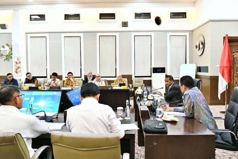 PLN Batam Bahas Keberlanjutan Listrik dan Efisiensi Harga Gas dengan Menteri ESDM