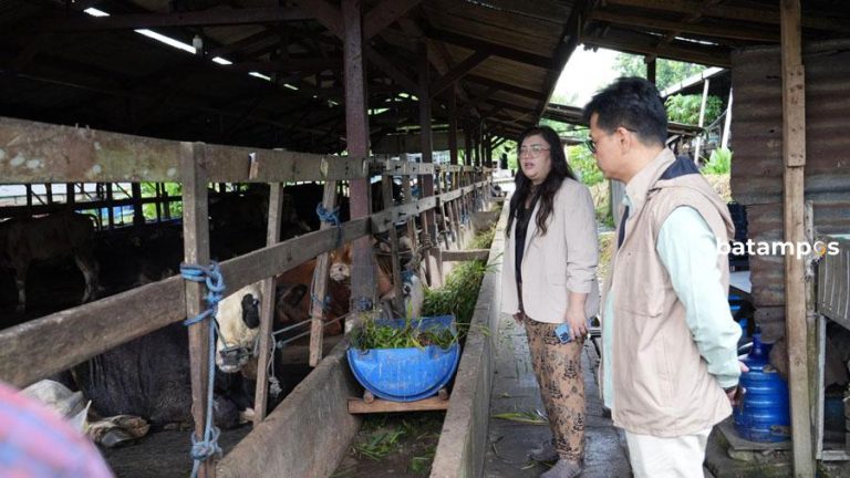 Ariastuty Sirait: BP Batam Komitmen Tingkatkan Pelayanan Kesehatan dan Agribisnis