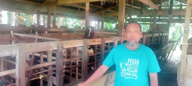 Pejualan Hewan Kurban Sepi Peminat