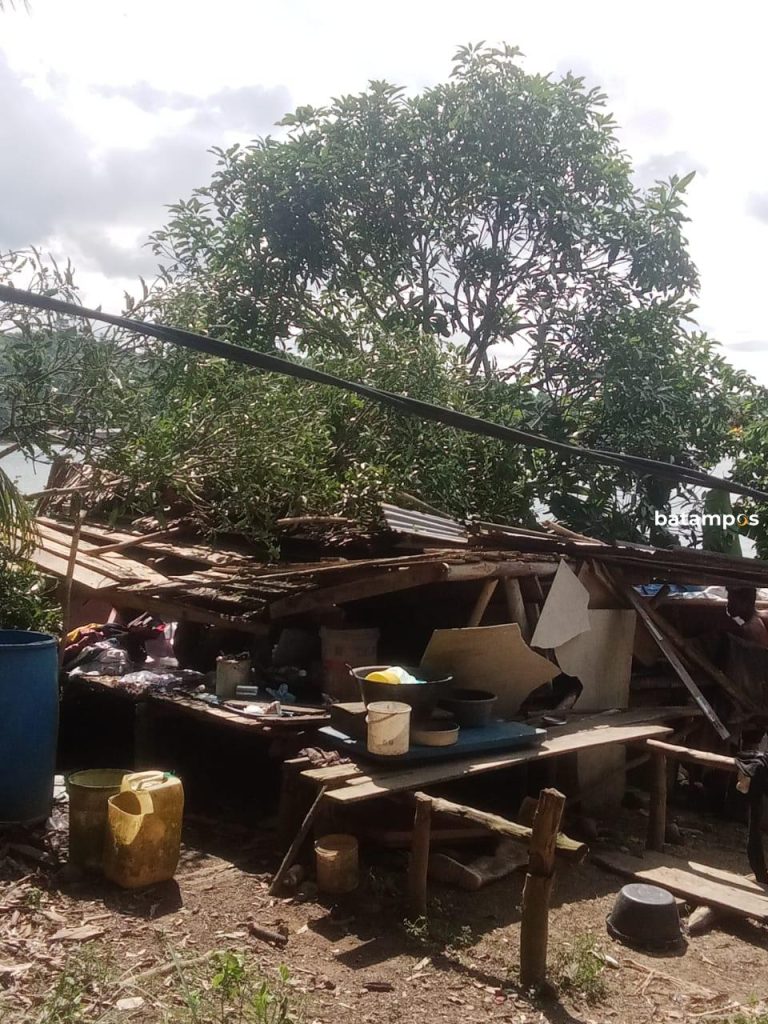  Pohon Mangga Roboh dan Timpa Rumah Warga Desa Panuba