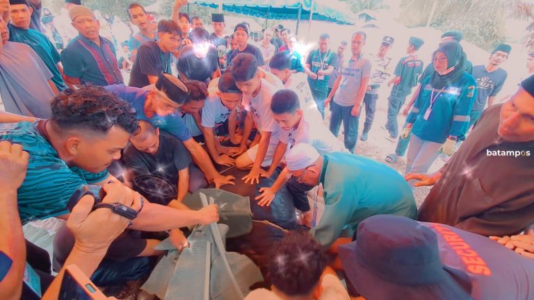 Warga Bintan Antusias Lihat Sapi Kurban dari Presiden Disembelih di Kampung Sekera