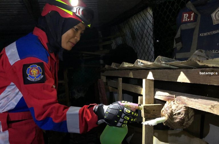 Tim Pemadam di Bintan Lumpuhkan Tawon Vespa di Malam Hari