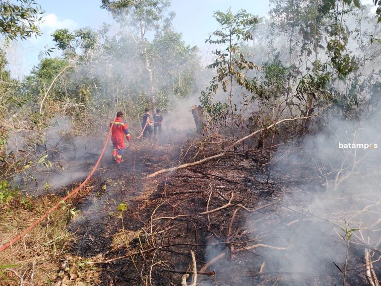 Hutan di Sungai Lumpur, Lingga Terbakar