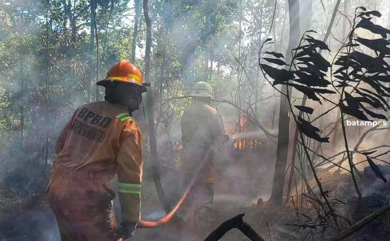 Guru SDN 007 Teluk Sebong, Bintan Panik, Lahan di Belakang Sekolah Terbakar
