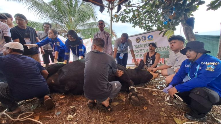 17 Petugas Kesehatan Hewan Dikerahkan Awasi Pemotongan Hewan Kurban di Bintan