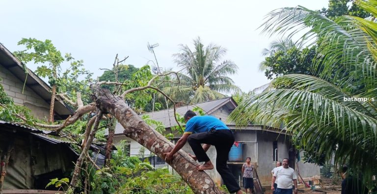 Angin Kencang, Pohon Jengkol Tumbang dan Timpa Rumah Warga di Bintan