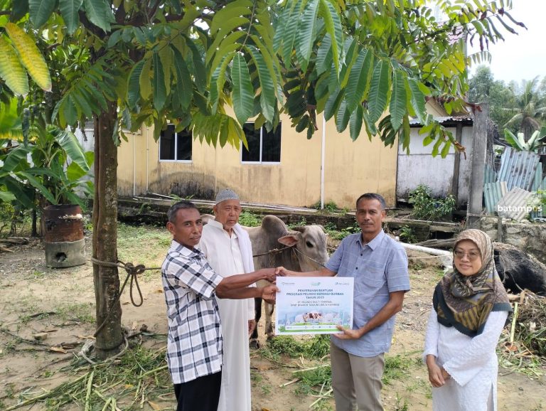 Pelindo Multi Terminal Karimun Lakukan Kurban Dua Ekor Sapi