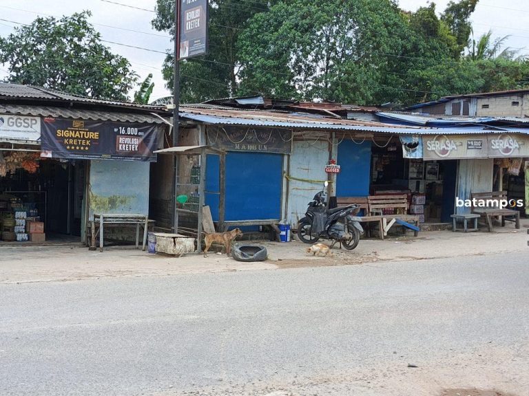 Tragedi di Balik Gemerlap: Warga Desak Penutupan Kafe Remang-Remang Seilekop