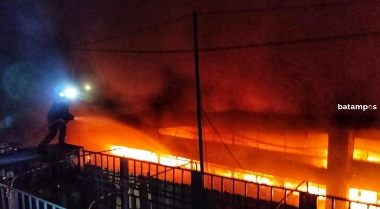 Api Hanguskan Kandang Ayam Japfa di Bintan
