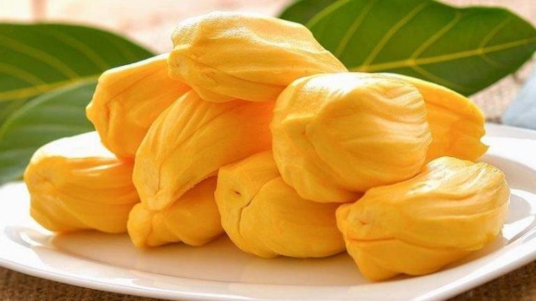 Baik untuk Kesehatan Tubuh! Ini 10 Manfaat Hebat Buah Nangka