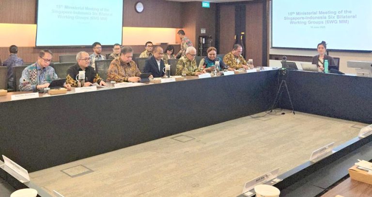 Penguatan Kerja Sama Ekonomi Indonesia-Singapura dalam Forum 6WG