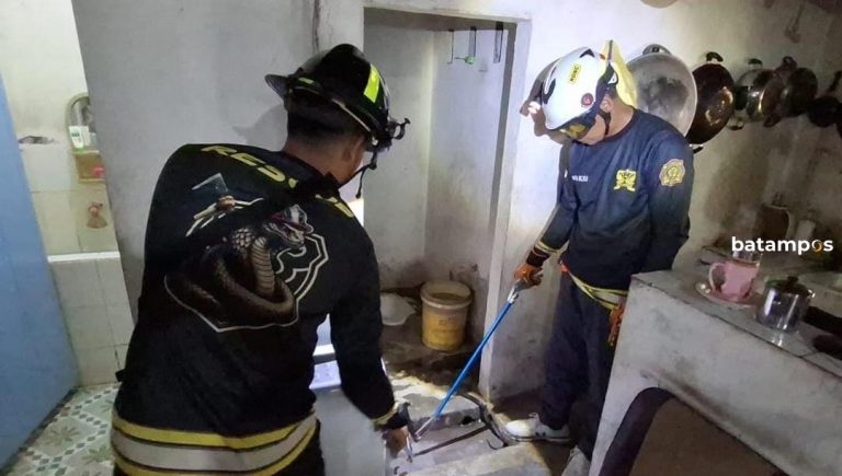 Damkar Evakuasi Ular Kobra di Rumah Dinas TNI AL di Bintan