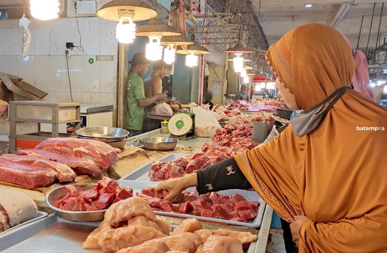 Ternyata Sudah Sebulan Daging Sapi Beku Tak Masuk Batam