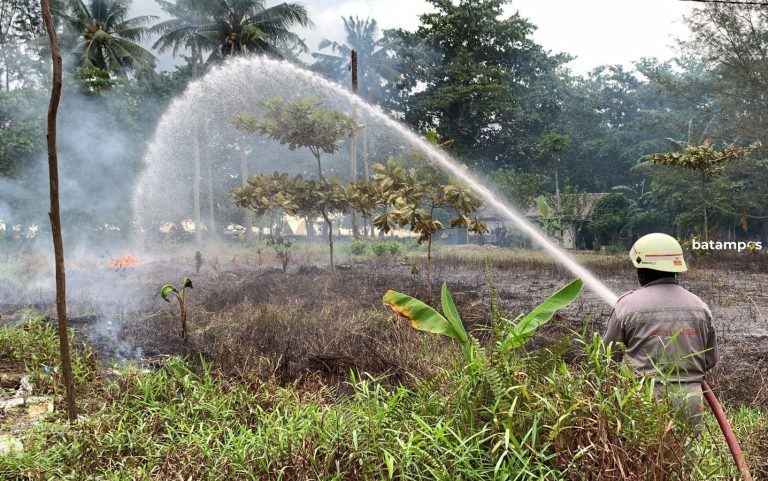 Diduga Akibat Bakar Sampah, Lahan di Kampung Bugis Terbakar