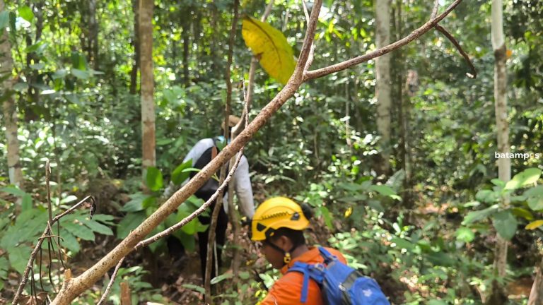 Sepekan Cari Gaharu di Hutan Bukit Bedung, 3 Warga Natuna Tak Kunjung Pulang ke Rumah