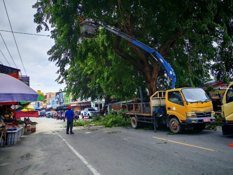 Cegah Bahaya, PT AGB, Pengelola Sampah di Karimun Pangkas Dahan Pohon di Jalan Utama