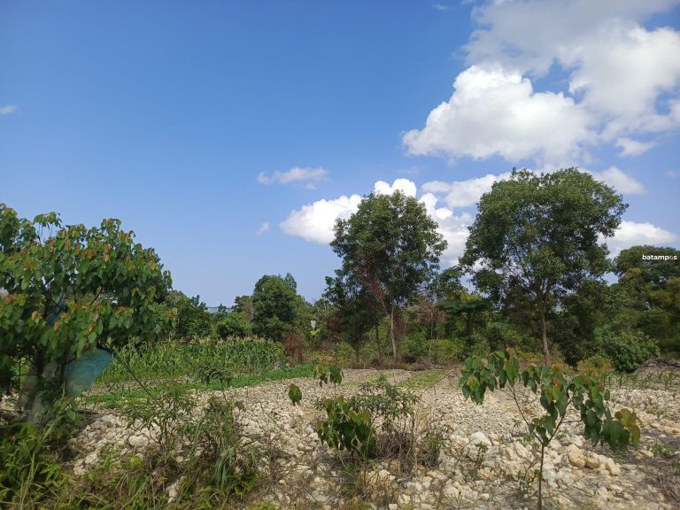 Ratusan Warga Sagulung Tertipu Kaveling Bodong, Uang Lenyap Lahan Tak Jelas