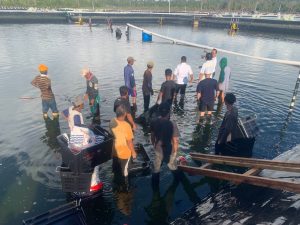 Puluhan Tambak Udang di Lingga Belum Punya IPAL, Terancam Cemari Laut