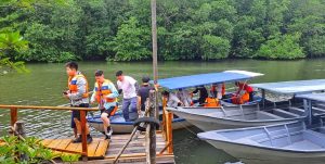 Menelusuri Keindahan Mangrove Kawal River Agro Resort, Wisata Alam Hits di Bintan