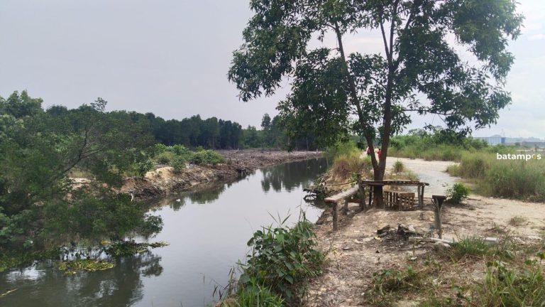 Reklamasi Brutal di Marina Sekupang, Sungai Rusak, Hutan Bakau Hilang, Banjir Terancam Semakin Parah
