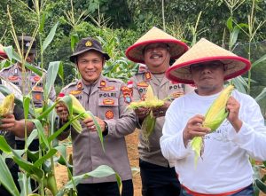 Kisah Kapolsek Sutomo Ajak Warga Anambas Bertani di Lahan Kosong