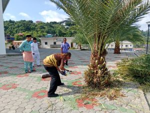 Setelah 6 Tahun, Pohon Kurma di Masjid Agung Anambas Akhirnya Berbuah