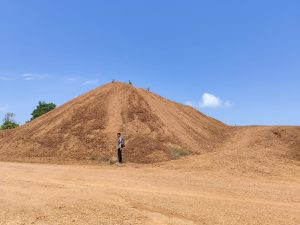 Stok Bauksit Sitaan Negara di Kepri Siap Dilelang, Nilainya Capai Rp1,4 Triliun