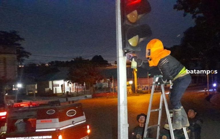 Tunggu Lampu Hijau di Traffic Light, Warga Disegat Lebah
