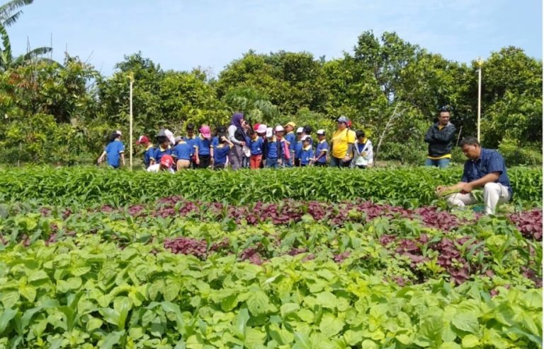 Diminati Warga Batam, Kawasan Wisata Alam Pedesaan Marina–Seitemiang Diperluas