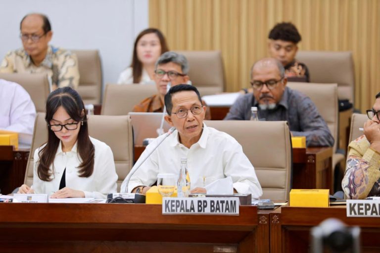 Sepanjang 4 Tahun, BP Batam Bukukan Investasi Rp121 Triliun