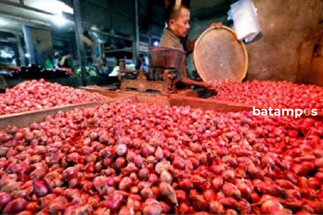 Harga Bawang Merah Jawa di Batam Tembus Rp 70 Ribu per Kg