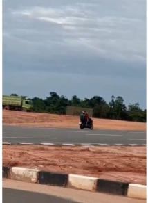 Hutan di Sepanjang Jalan Hang Tuah Gundul, Diduga Masuk Kawasan Lindung