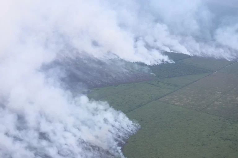 Kurangi Titik Api Karhutla di Riau, Pemerintah Bakal Tambah Helikopter untuk Operasi Modifikasi Cuaca